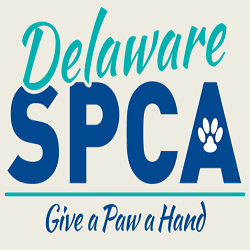 spca1